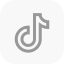 TikTok Icon